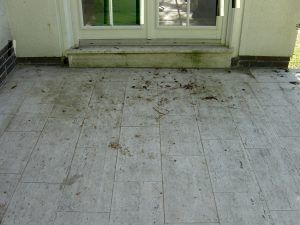 Travertin-Terrasse mit Algen und Grünbelag vor der Natursteinreinigung Berlin